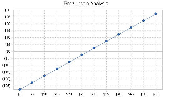 Regional Airline Business Plan Example 