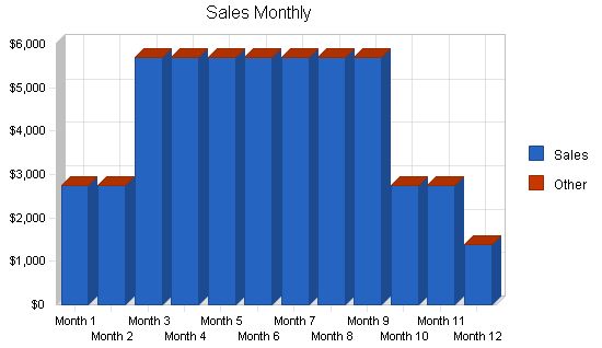 Shaved Ice Beverage Business Plan Example 