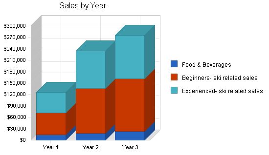 Skate Park Skiing Business Plan Example 