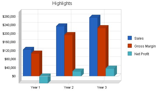 Skate Park Skiing Business Plan Example 