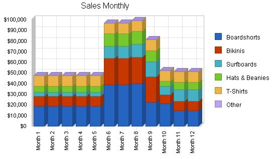 Surf Clothing and Sportswear Business Plan Example 