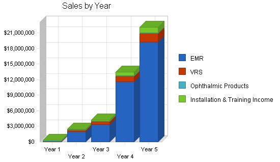 Voice Recognition Software Business Plan Example 