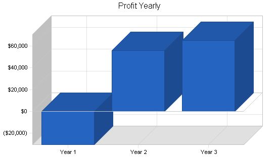 Wholesale Bicycle Distributor Business Plan Example 