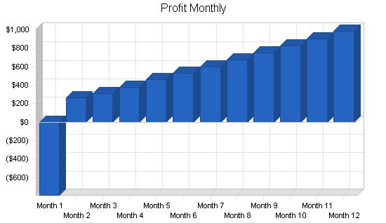 Women s Boutique Shoe Store Business Plan Example 