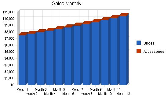 Women s Boutique Shoe Store Business Plan Example 