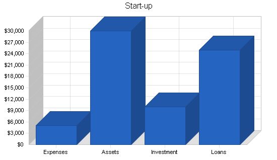 Women s Boutique Shoe Store Business Plan Example 