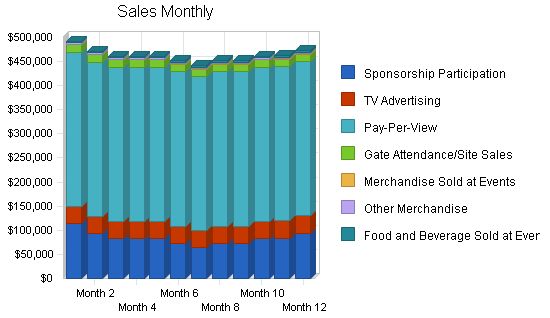 Wrestling Entertainment Business Plan Example 