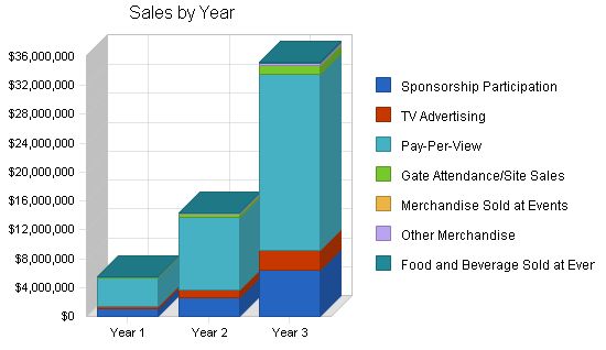 Wrestling Entertainment Business Plan Example 